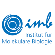 Institute of Molecular Biology gGmbH
