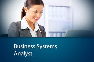 Business Analyst