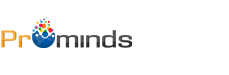 Prominds Business Consulting Inc Talent Network