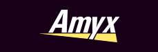 Amyx Talent Network