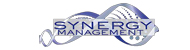 Synergy Management Talent Network